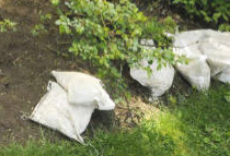 Verizon Buries Bags Of Rocks In Woman's Yard