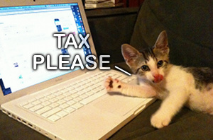 Internet Sales Tax Bill Introduced Again