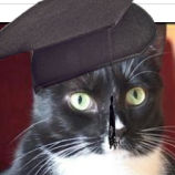 How Useless Are Diploma Mills? This Cat Got One