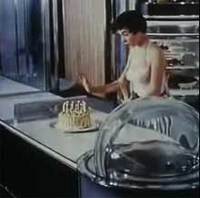 Populexe Kitchens of the 50’s Future