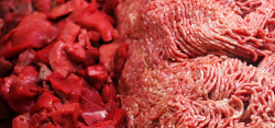 E. Coli Recall: 864,000 Pounds Of Ground Beef