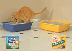Arm & Hammer Sues Fresh Step Because "Cats Don't Talk"