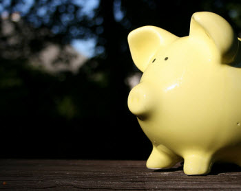 Your Piggy Bank Is Happy: Savings Rate At 14-Year High