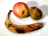 Whole Foods’ Remarkably Feculent Fruit