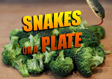 Snake Head On T.G.I. Friday's Plate Wasn't Cooked With Broccoli