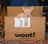 Database Bug At Woot Leaves Reader Wary Of Ordering