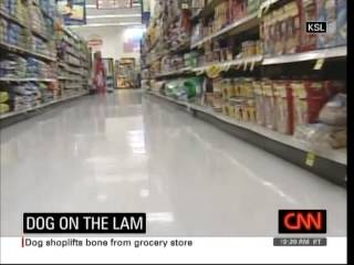 Dog Shoplifts Bone From Grocery Store