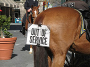 Economic Downturn Puts Police Horses Out To Pasture