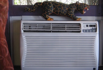 Crazy Landlord Fights Heat Wave With Air Conditioning Ban