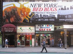 Would This Bed Bug Billboard Keep You From Shopping Here?