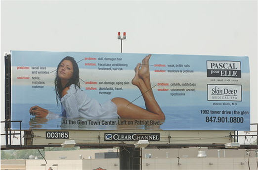 Billboard Diagramming Female Flaws Causes Backlash