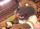 Cleveland Browns Fan Sues Team, NFL Over Lockout