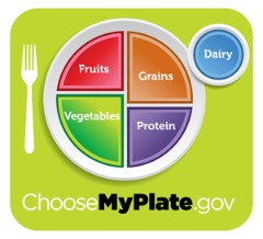 "Nutrition Plate" Replaces "Food Pyramid"