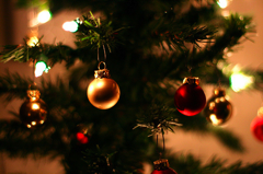 Christmas Trees Sales Perk Up To Pre-Recession Levels