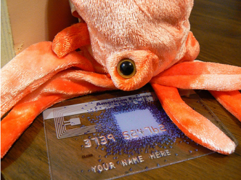Guess Who May Be Footing The Bill For Credit Card Reform — It's Not The Octopus