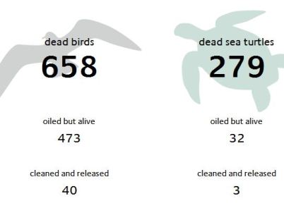 Keep Track Of BP Oil Spill Casualties With DailyDeadBirds.com
