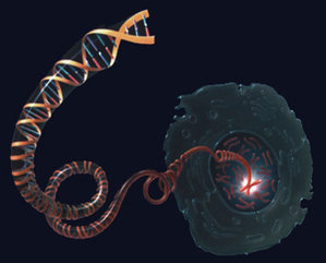 Congress Putting Genetic-Testing Companies Under Microscope