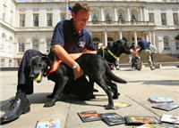 The MPAA's New Secret Weapon: DVD Sniffing Dogs!