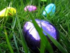 Kids' Fun Ruined When Easter Egg Hunt Is Canceled Due To Aggressive Parents
