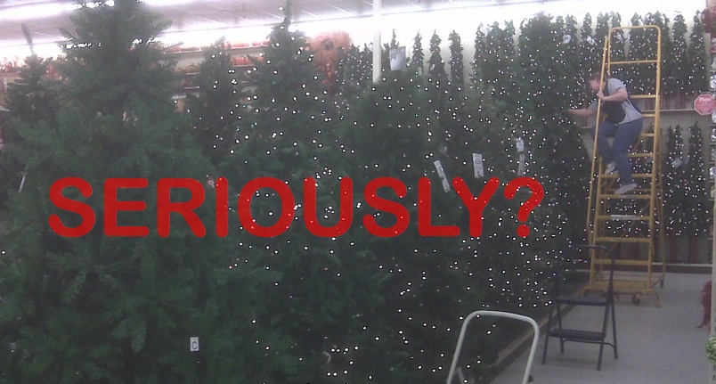 Now Available At Hobby Lobby: Christmas Trees?