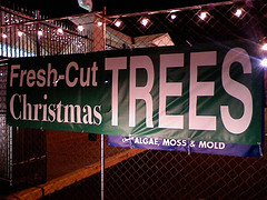 Dept. Of Agriculture Announces Christmas Tree Tax To Help Promote Christmas Trees