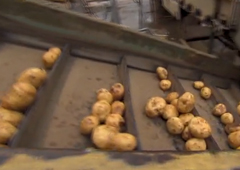 From Spud To Your Taste Buds: How Frito-Lay Chips Are Made