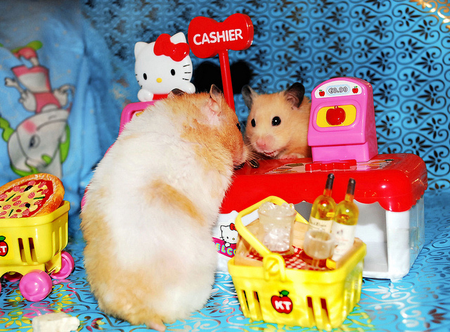 Caption These Hamsters Shopping