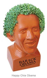 Chia Obama Pulled From Walgreens Shelves
