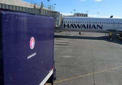 Hawaiian Airlines Tops Quality Study, American Eagle Falls Flat