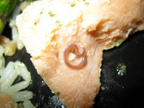 Trader Joe's Salmon Comes With Delectable Organic Free-Range Worm
