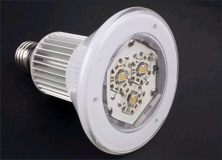 Will LED Lightbulbs Outshine CFLs?