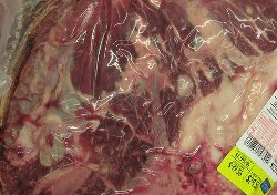 Report: Lack Of Limits, Oversight, Lets Tainted Meat Out Into Market