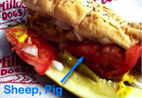 Vienna "All Beef" Hot Dogs Are Made With Sheep, Pigs