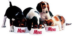 Menu Foods Bullies Pet Owners To Settle Food Contamination Lawsuits
