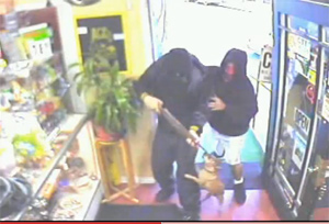Chihuahua Emasculates Armed Robbers