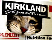 FTC To Monsanto: Dairies' Hormone-Free Milk Ads Not Misleading