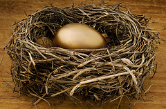 Gold Nest Egg