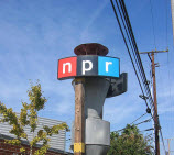 We May Be On NPR Tonite