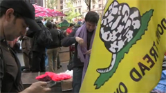 Video: Meet Your Wall Street Occupiers