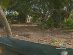 Miami Official Creates A Park For Sex Offenders To Keep Them Away From Kids
