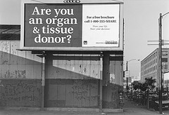 Poll: Would You Donate A Kidney For Cash?