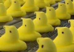 The Story Behind Easter Candy Favorite: Peeps!