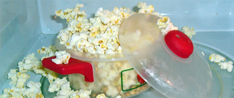 First Consumer "Popcorn Lung" Case Found