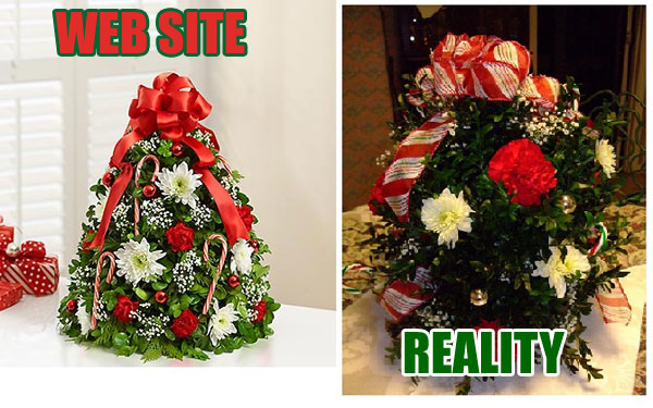 Online Florist Garden Of Discontent: The Christmas Shrub