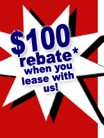 The Business of Rebates