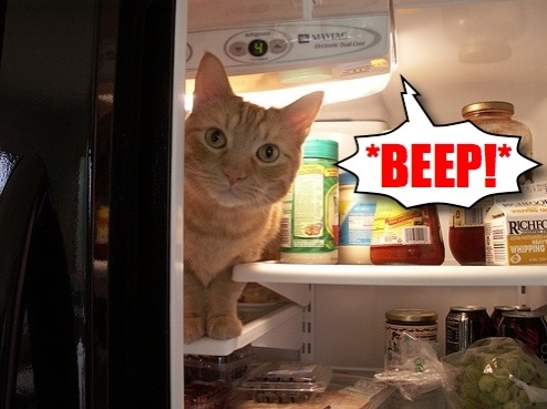 This !@#$% KitchenAid Refrigerator Won't Stop !@$% Beeping!