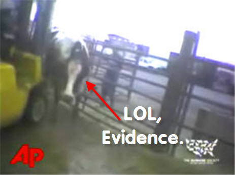 Cow Abuse Meatpacking Boss Reluctantly Admits To Tainting The Food Supply
