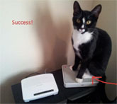 Cat Naps On Router, ISP Provides Decoy Router In Exchange For Cat Pictures
