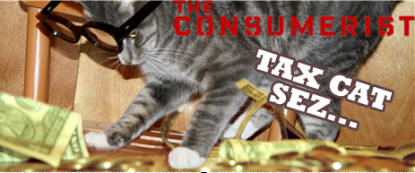 Tax Cat: Help! I Owe The IRS Money And I Don't Have Any!