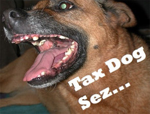Tax Dog: Don't Pay Your Taxes Because They Are Unconstitutional